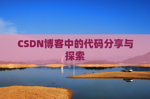 CSDN博客中的代码分享与探索